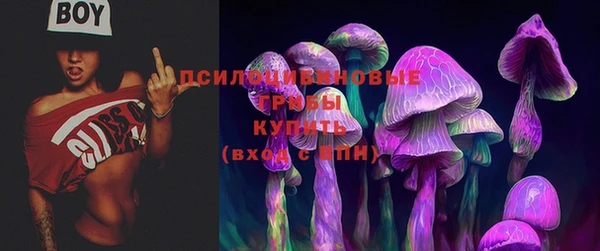 a pvp Баксан