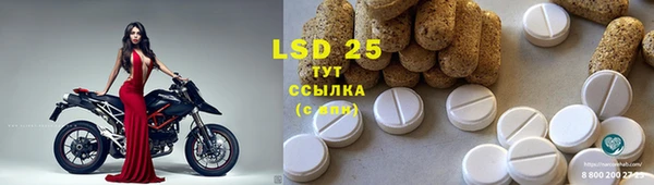индика Балахна