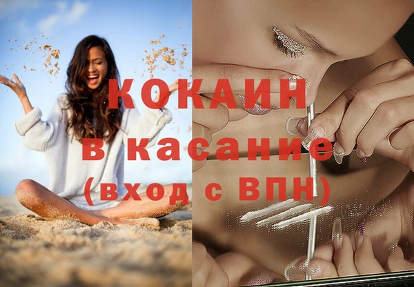 индика Балахна