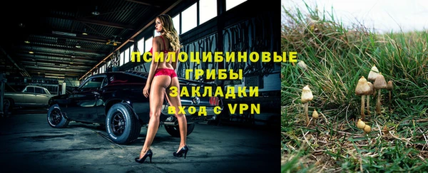 индика Балахна