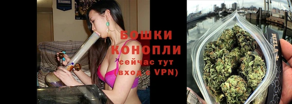 индика Балахна